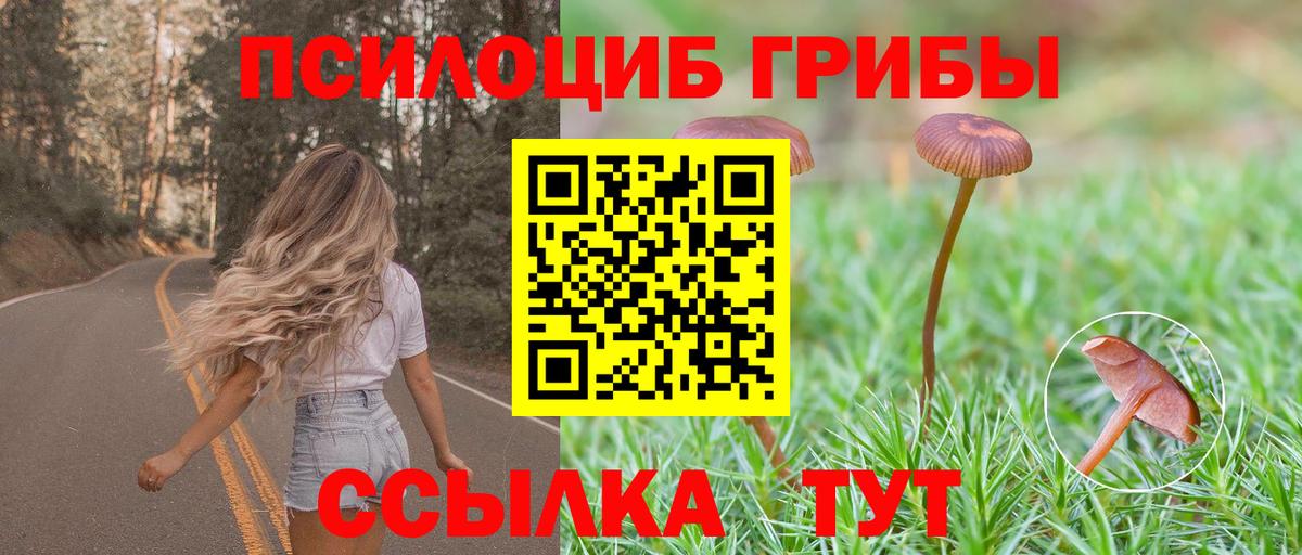 Кохма  Галлюциногенные грибы Psilocybe  Вход с VPN  Галлюциногенные грибы прущие грибы 
